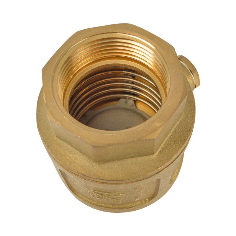 Spring Check/Non Return Valve with double ventilation for Itap Roma ,Brass,BSP