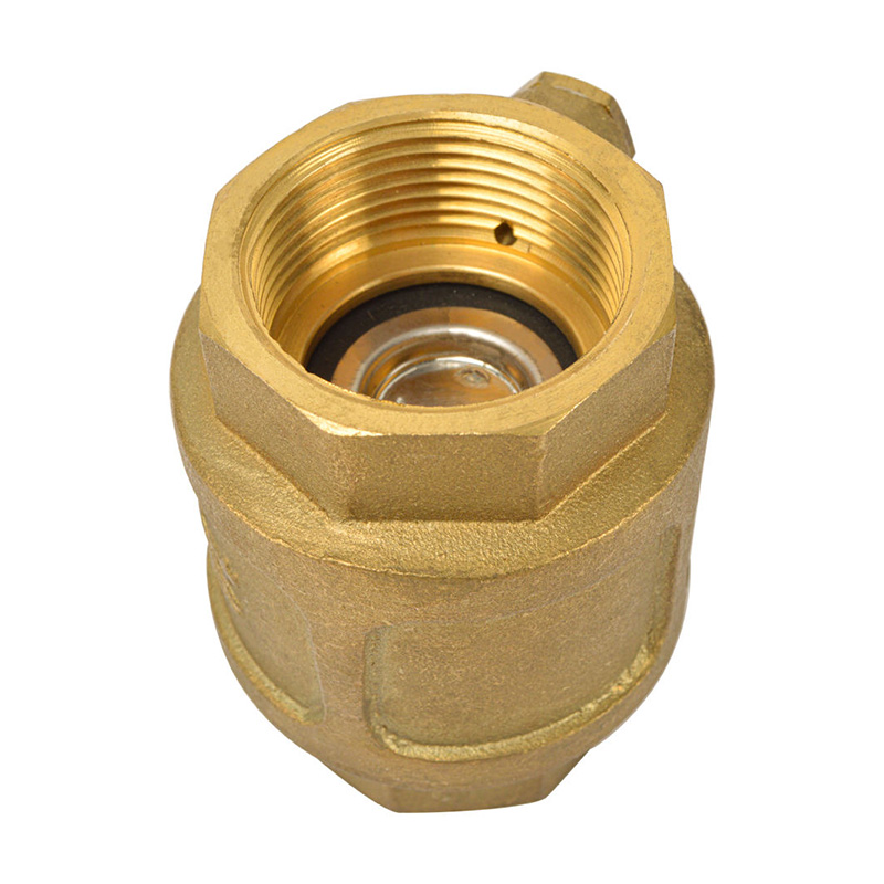 Spring Check/Non Return Valve with double ventilation for Itap Roma ,Brass,BSP